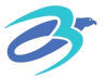 Computer Brilliance Logo